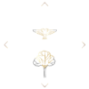 Siblings Selection - white icon - alpha Siblings Selection - white icon - alpha